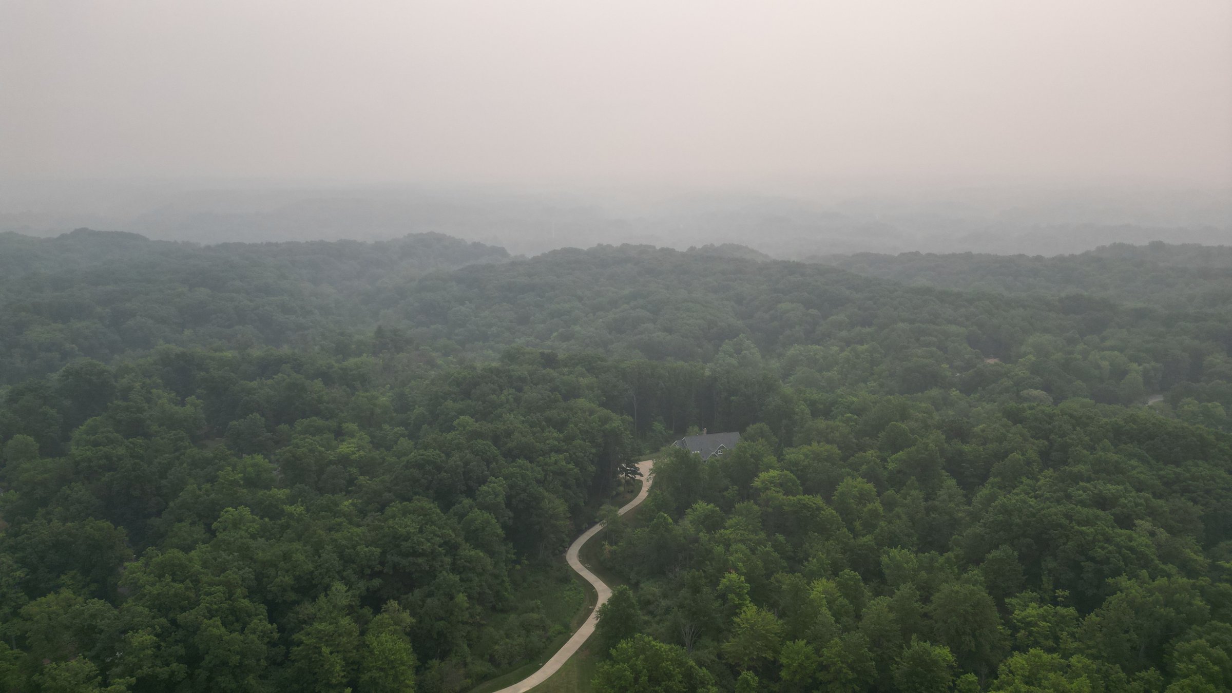 Aerial view of forest under a hazy sky, illustrating regional air quality