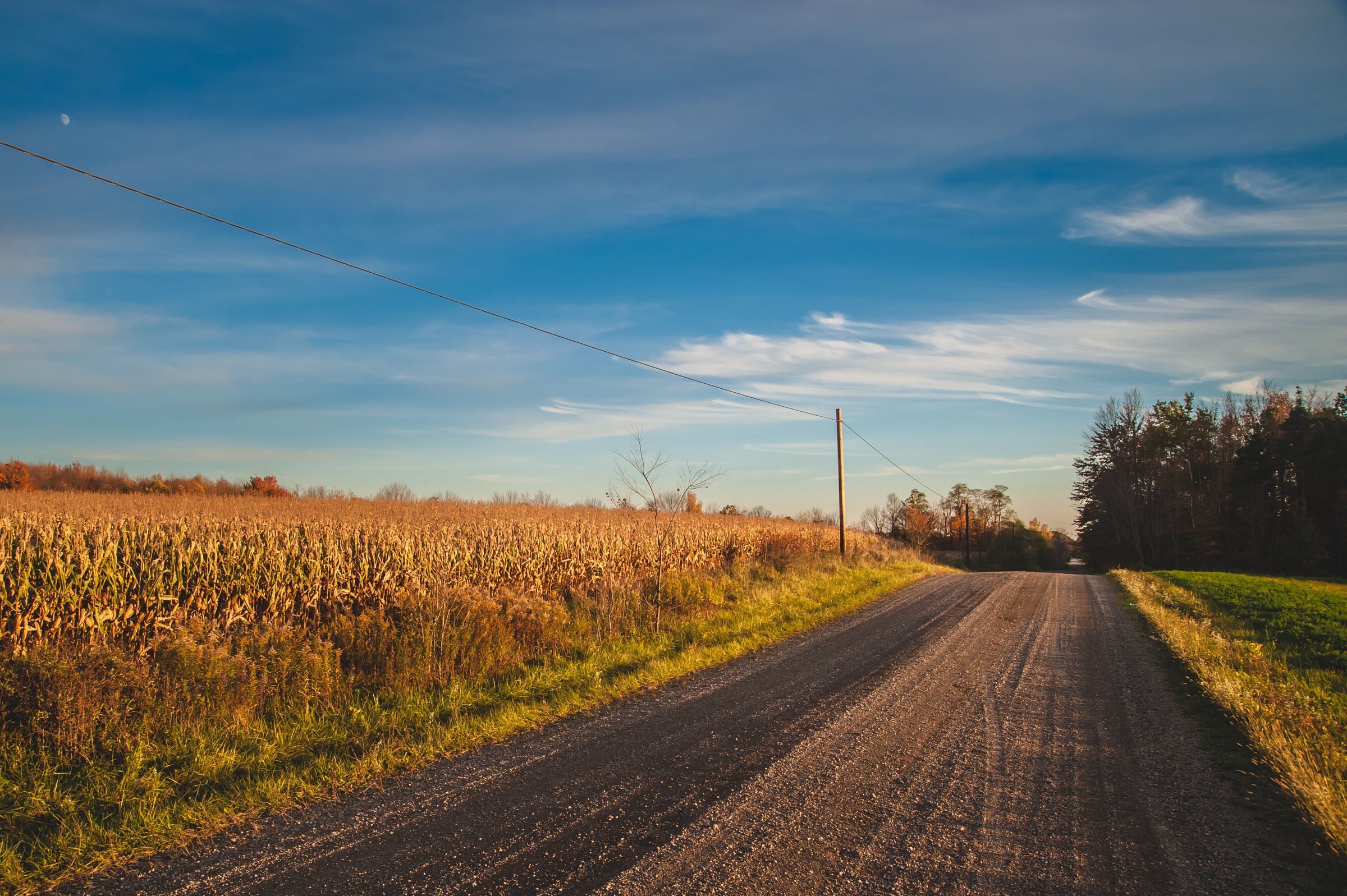 Gravel road beside a cornfield in autumn light, wide blue sky and utility lines overhead