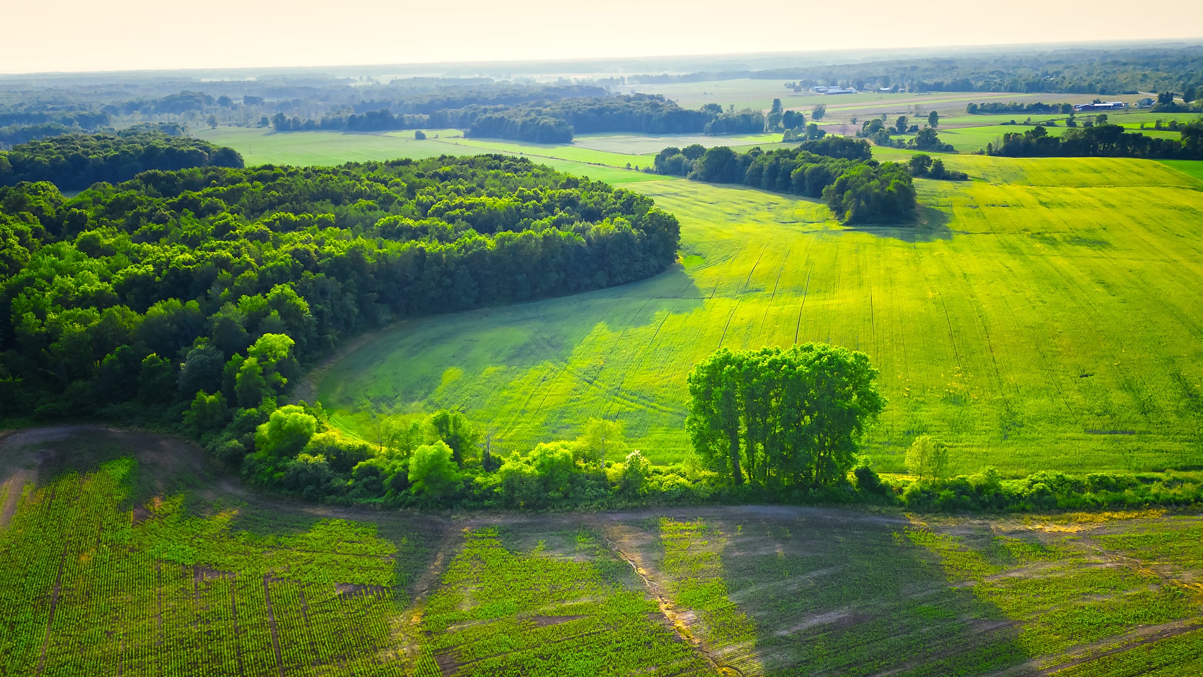 Aerial view of green farmland with tree line and creek